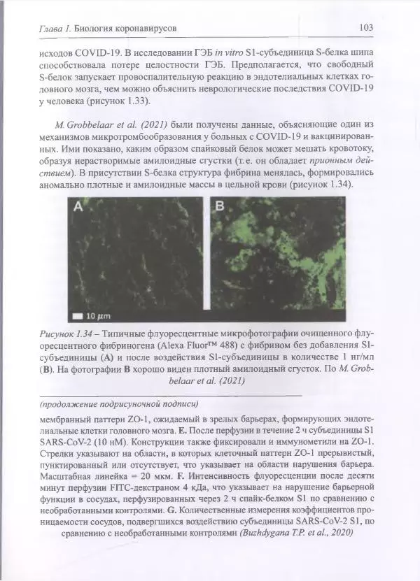 Михаил Супотницкий - COVID-19: трудный экзамен для человечества - Страница № 103
