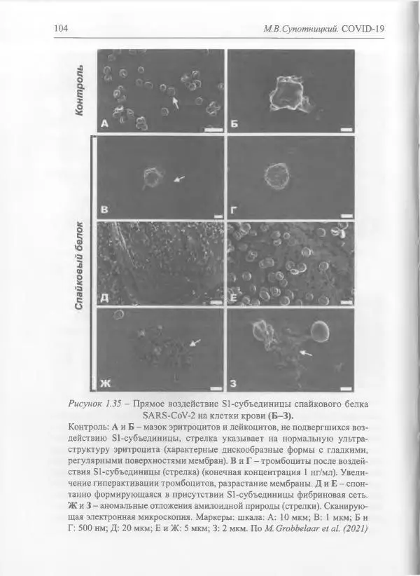 Михаил Супотницкий - COVID-19: трудный экзамен для человечества - Страница № 104