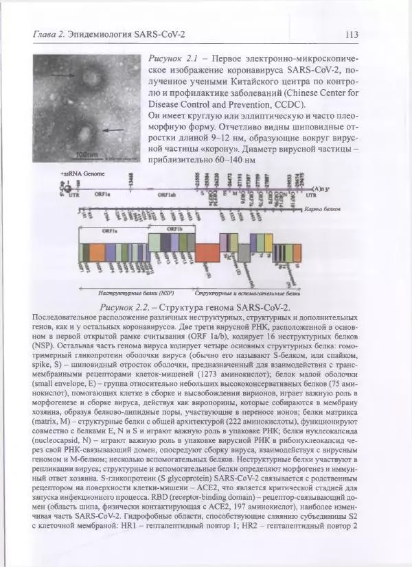 Михаил Супотницкий - COVID-19: трудный экзамен для человечества - Страница № 113