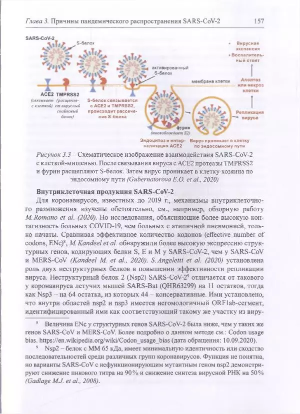 Михаил Супотницкий - COVID-19: трудный экзамен для человечества - Страница № 157