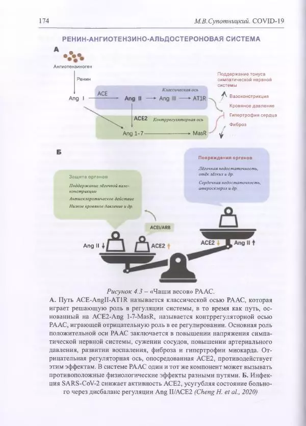 Михаил Супотницкий - COVID-19: трудный экзамен для человечества - Страница № 174
