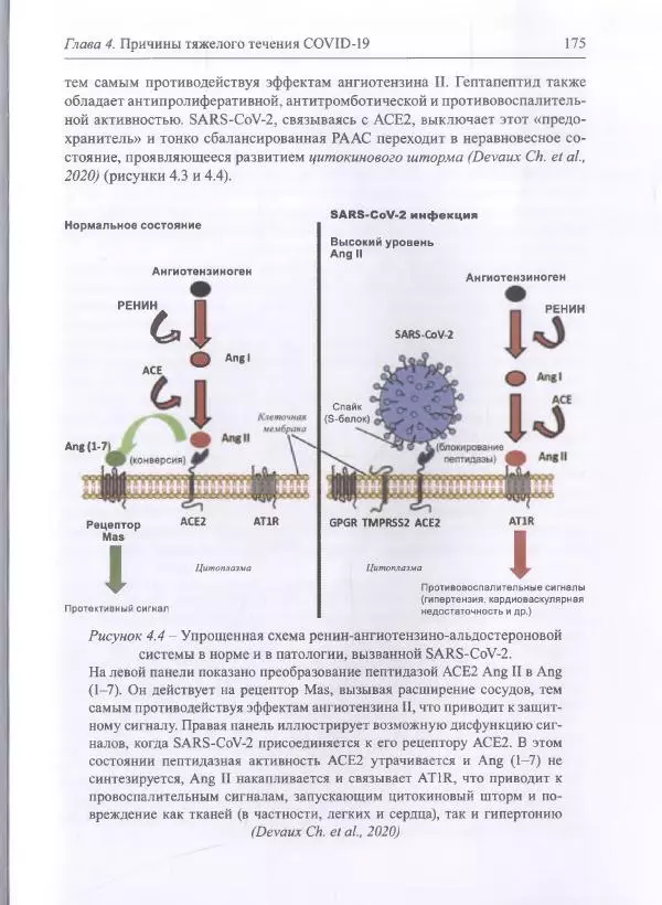 Михаил Супотницкий - COVID-19: трудный экзамен для человечества - Страница № 175