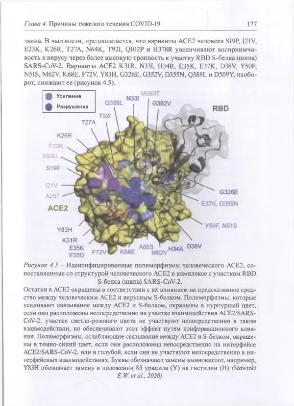 Михаил Супотницкий - COVID-19: трудный экзамен для человечества - Страница № 177