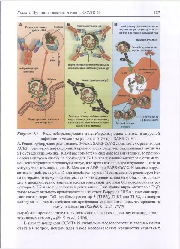 Михаил Супотницкий - COVID-19: трудный экзамен для человечества - Страница № 187