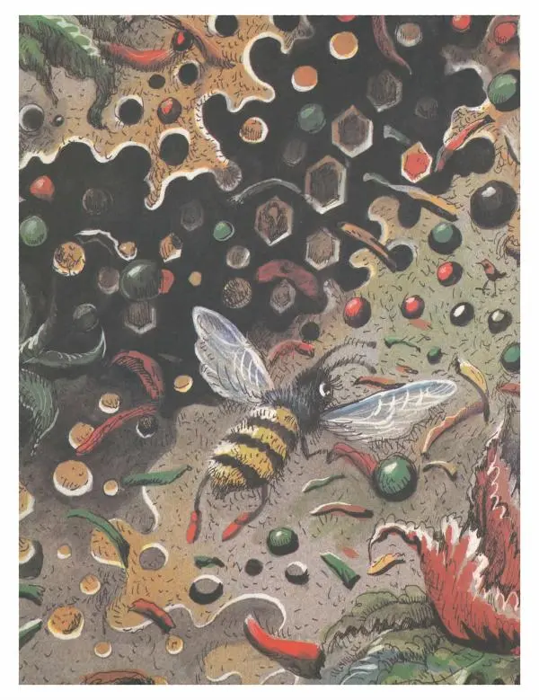 Вальдемар Бонзельс - Приключения пчелки Майи - Страница № 3