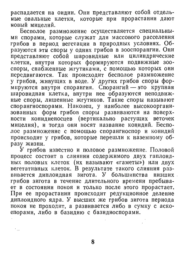 Нина Черепанова - Грибы - Страница № 10