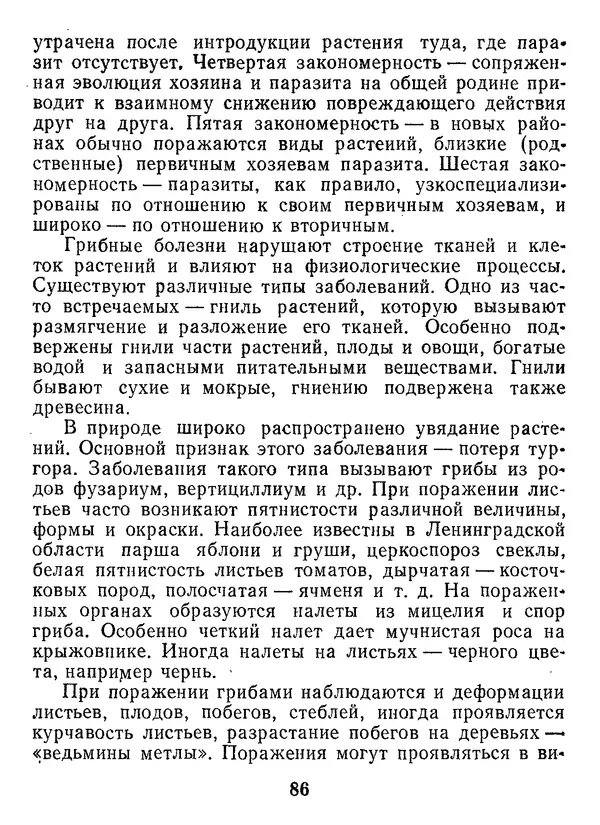 Нина Черепанова - Грибы - Страница № 104