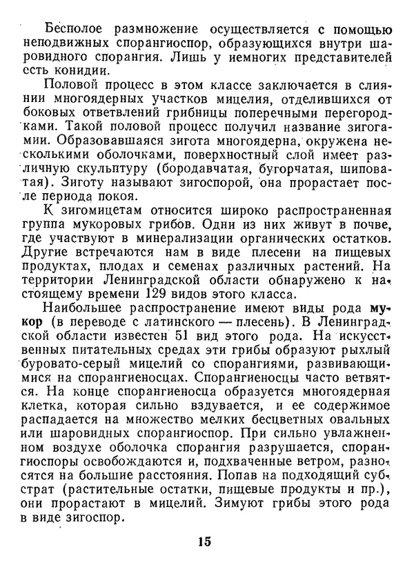 Нина Черепанова - Грибы - Страница № 17