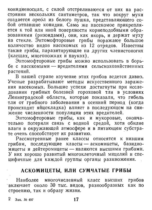 Нина Черепанова - Грибы - Страница № 19