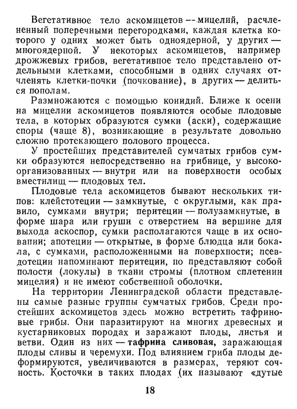 Нина Черепанова - Грибы - Страница № 20