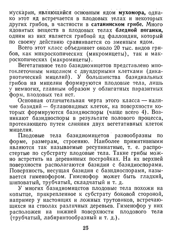 Нина Черепанова - Грибы - Страница № 27