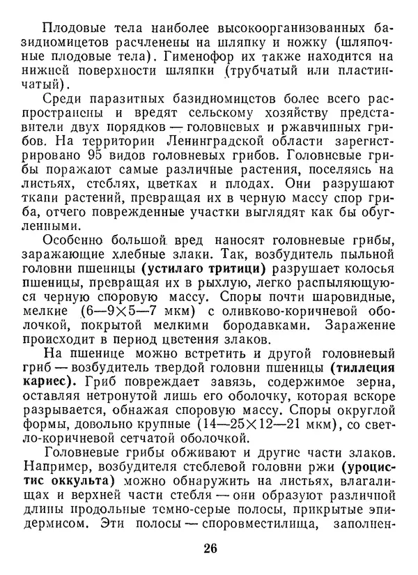 Нина Черепанова - Грибы - Страница № 28