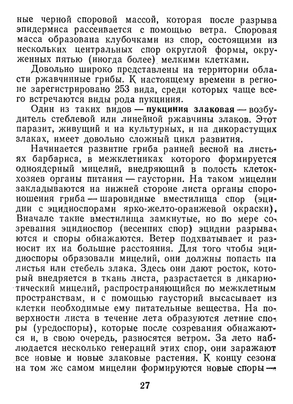 Нина Черепанова - Грибы - Страница № 29