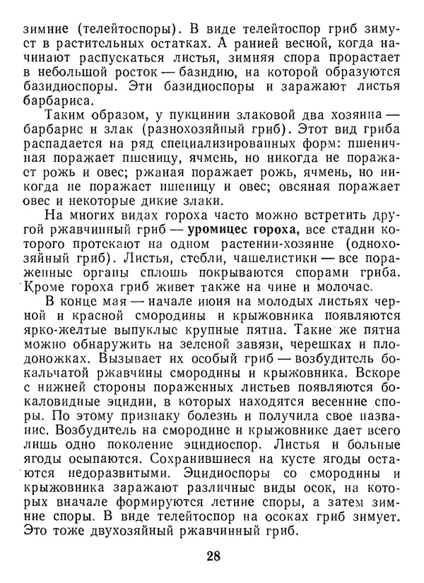 Нина Черепанова - Грибы - Страница № 30