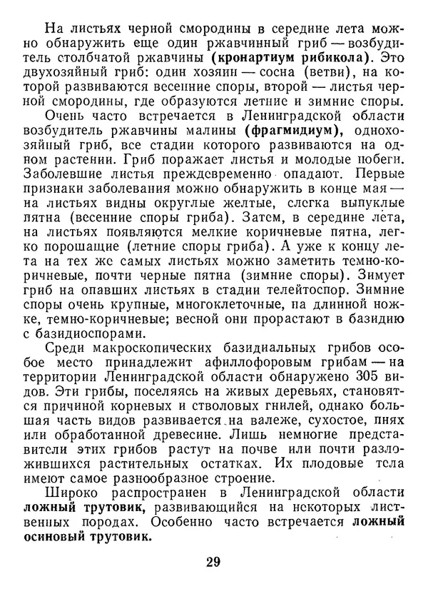 Нина Черепанова - Грибы - Страница № 31