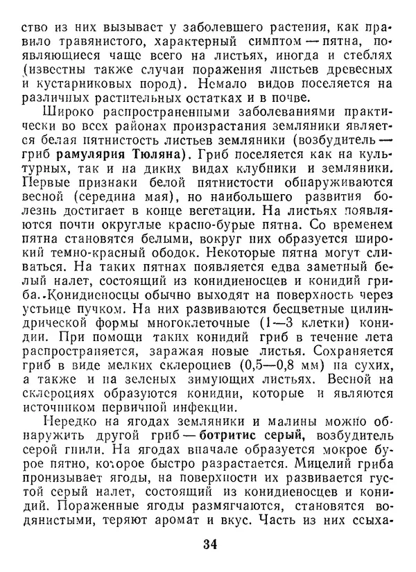 Нина Черепанова - Грибы - Страница № 36