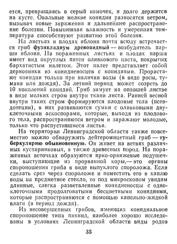 Нина Черепанова - Грибы - Страница № 37