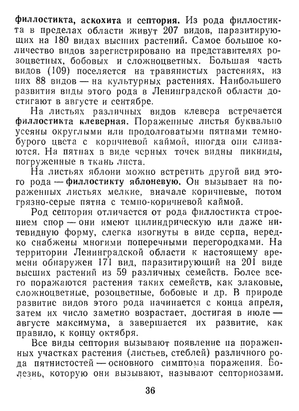 Нина Черепанова - Грибы - Страница № 38