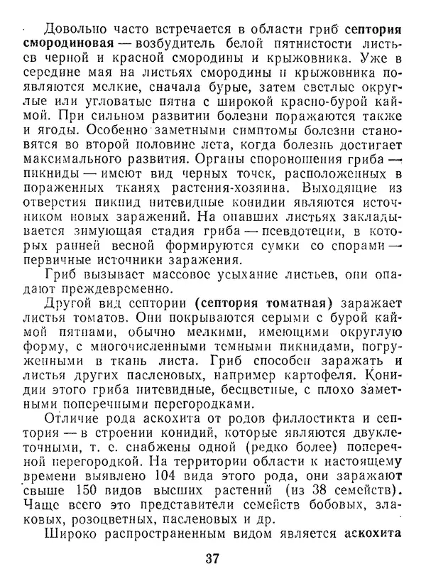 Нина Черепанова - Грибы - Страница № 39