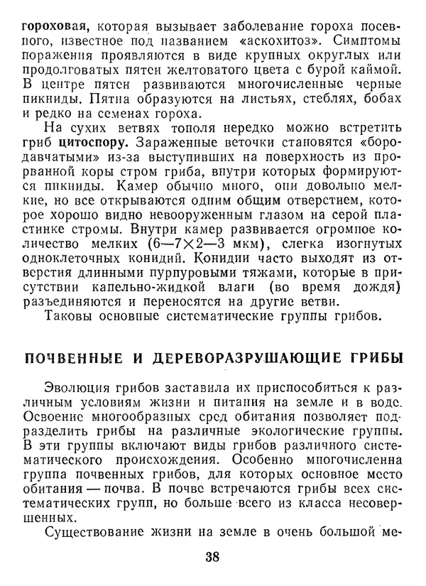 Нина Черепанова - Грибы - Страница № 40