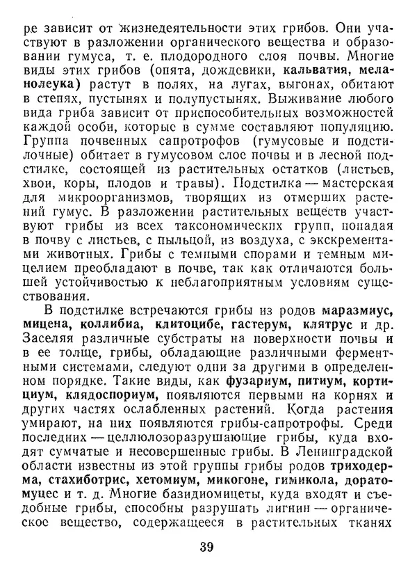 Нина Черепанова - Грибы - Страница № 41