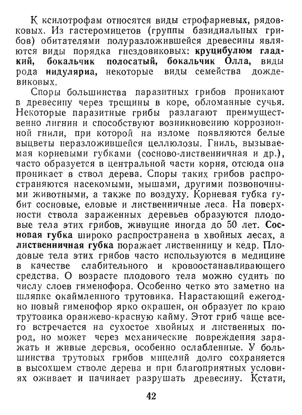 Нина Черепанова - Грибы - Страница № 44