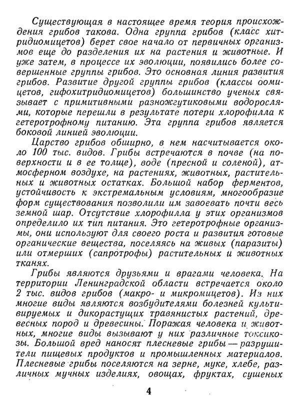 Нина Черепанова - Грибы - Страница № 6