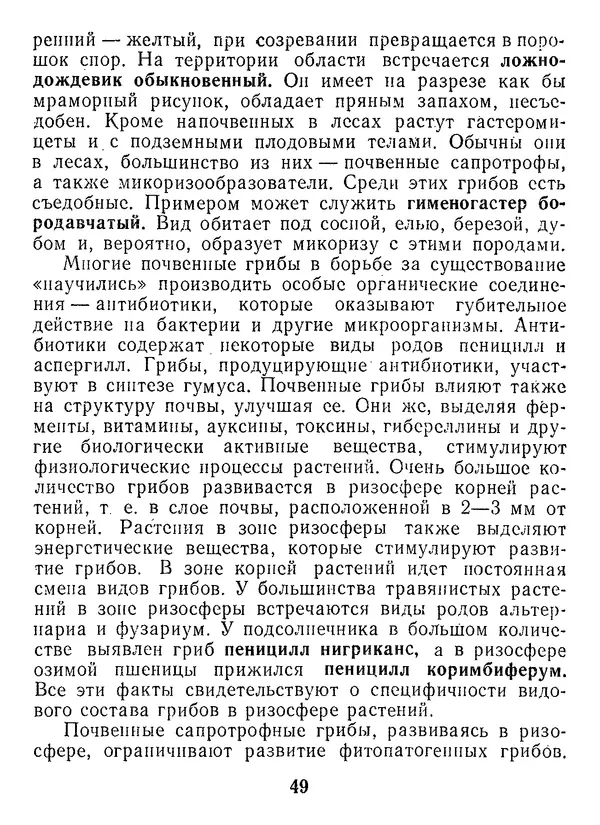 Нина Черепанова - Грибы - Страница № 67