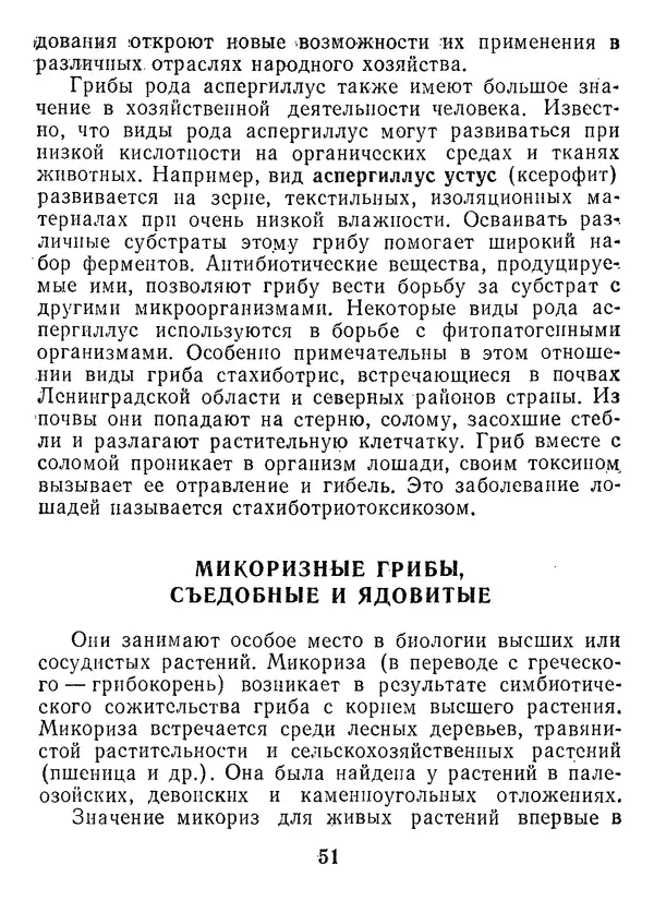 Нина Черепанова - Грибы - Страница № 69