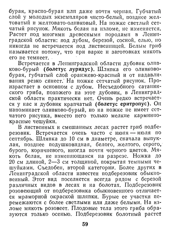 Нина Черепанова - Грибы - Страница № 77