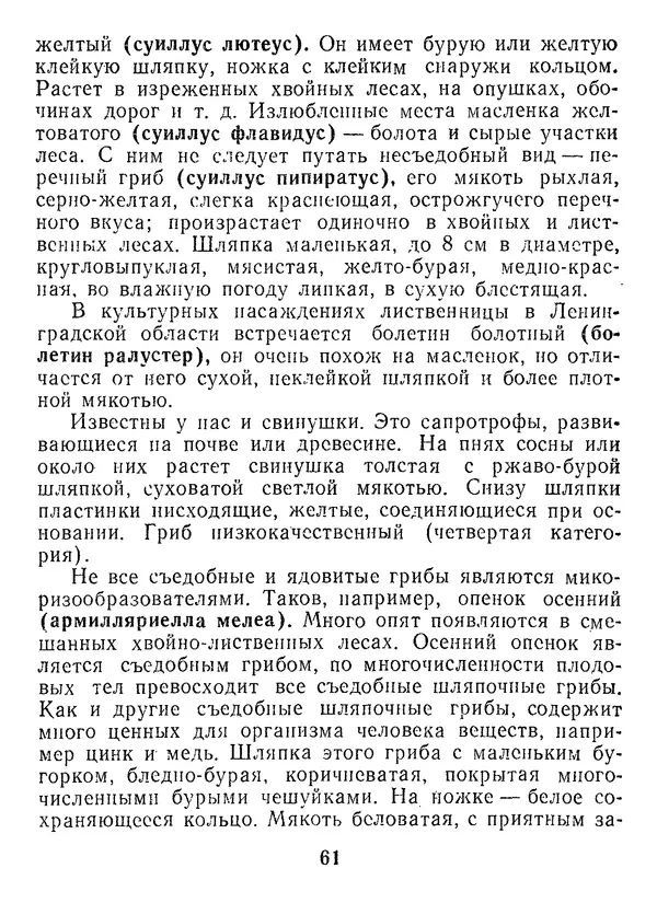 Нина Черепанова - Грибы - Страница № 79