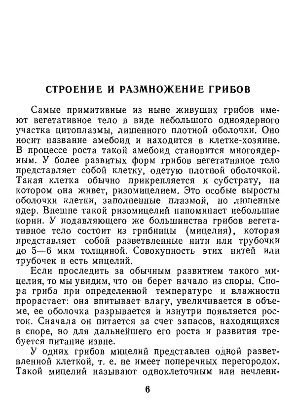 Нина Черепанова - Грибы - Страница № 8