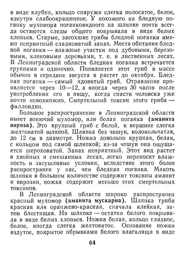 Нина Черепанова - Грибы - Страница № 82