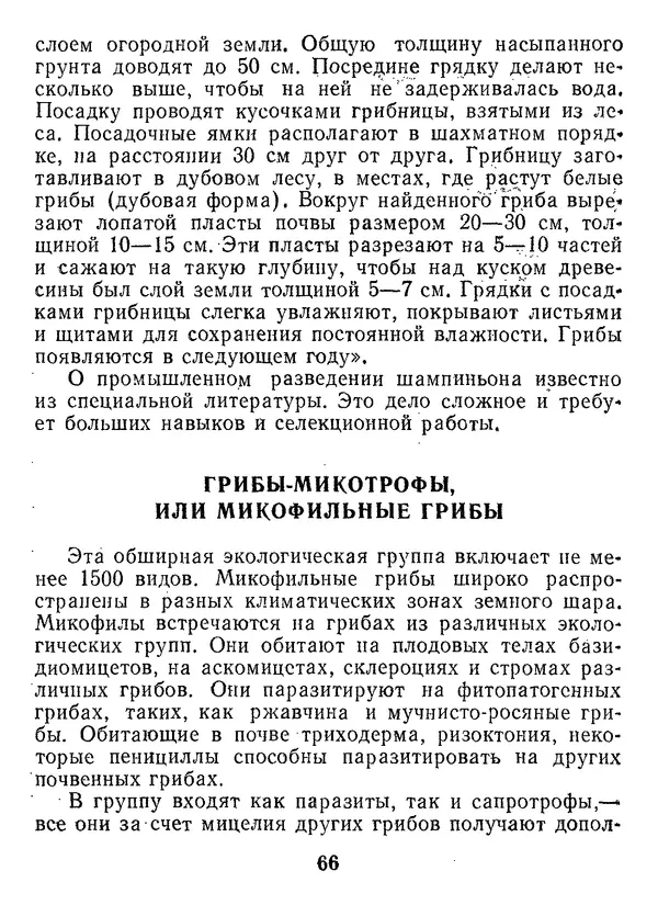 Нина Черепанова - Грибы - Страница № 84