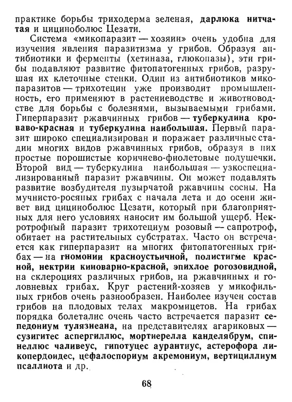 Нина Черепанова - Грибы - Страница № 86