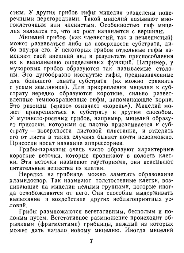 Нина Черепанова - Грибы - Страница № 9