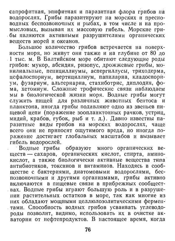 Нина Черепанова - Грибы - Страница № 94