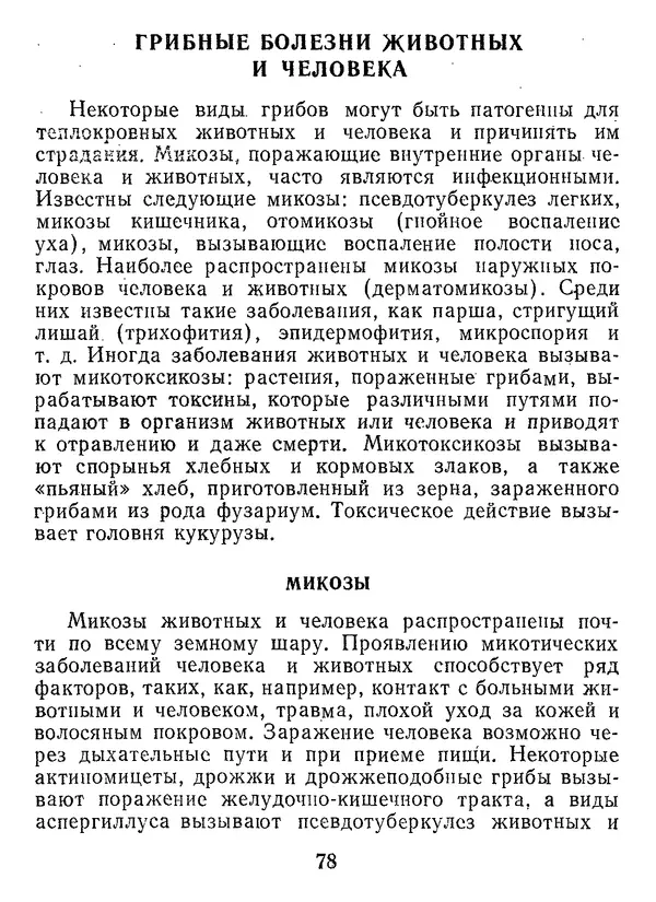Нина Черепанова - Грибы - Страница № 96