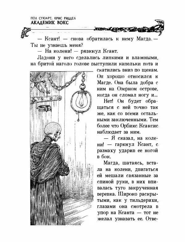 Пол Стюарт - Академик Вокс - Страница № 243