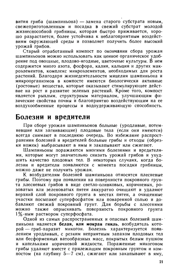 Наталья Шалашова  - Шампиньоны - Страница № 22