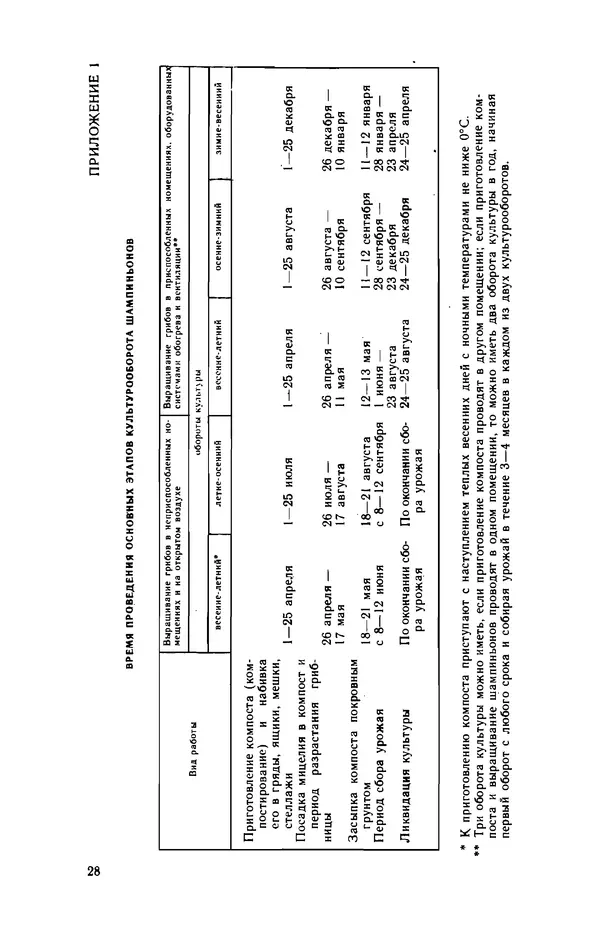 Наталья Шалашова  - Шампиньоны - Страница № 29