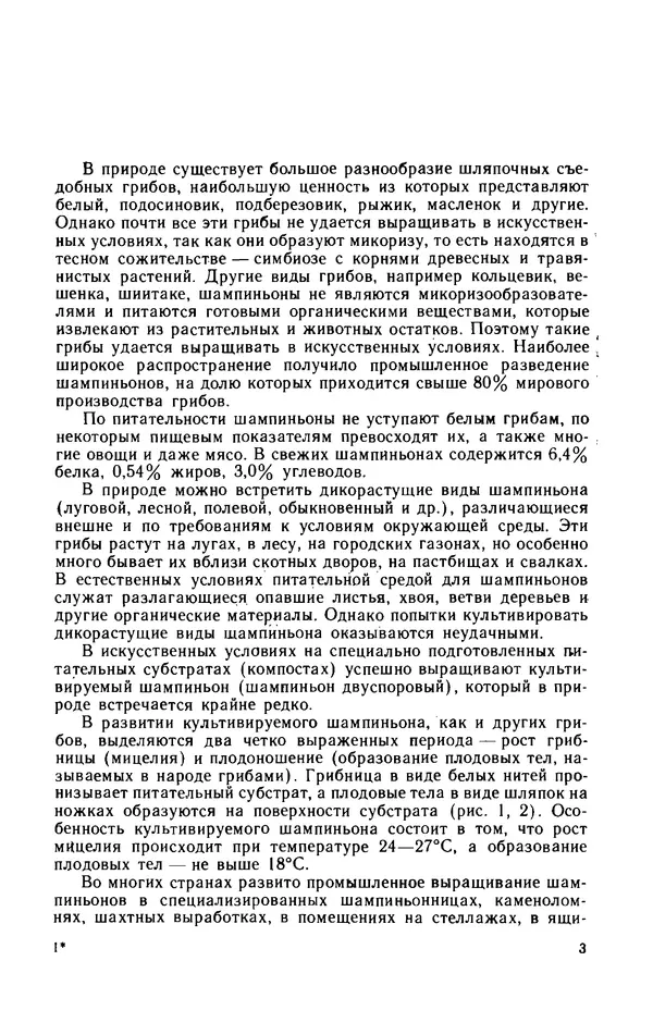 Наталья Шалашова  - Шампиньоны - Страница № 4