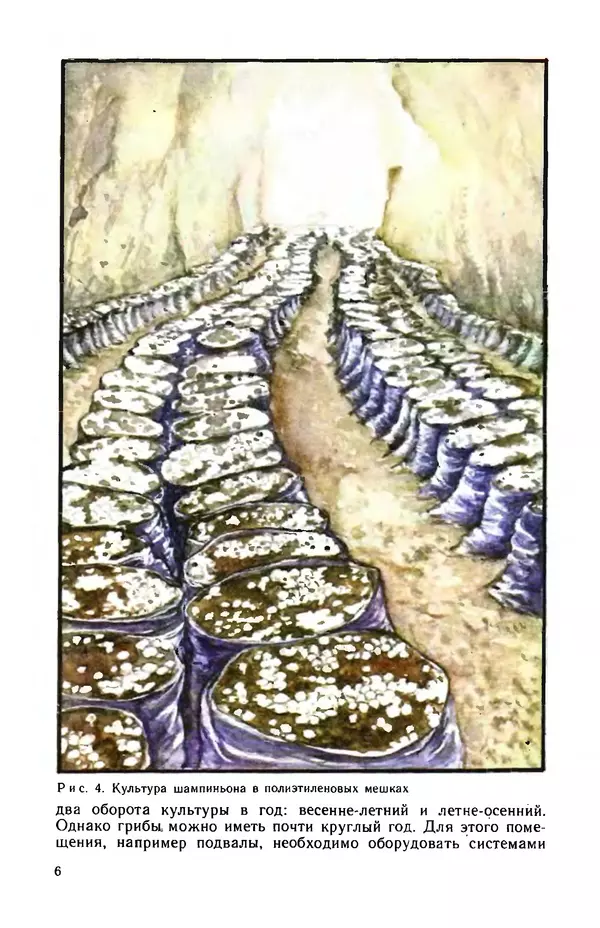 Наталья Шалашова  - Шампиньоны - Страница № 7