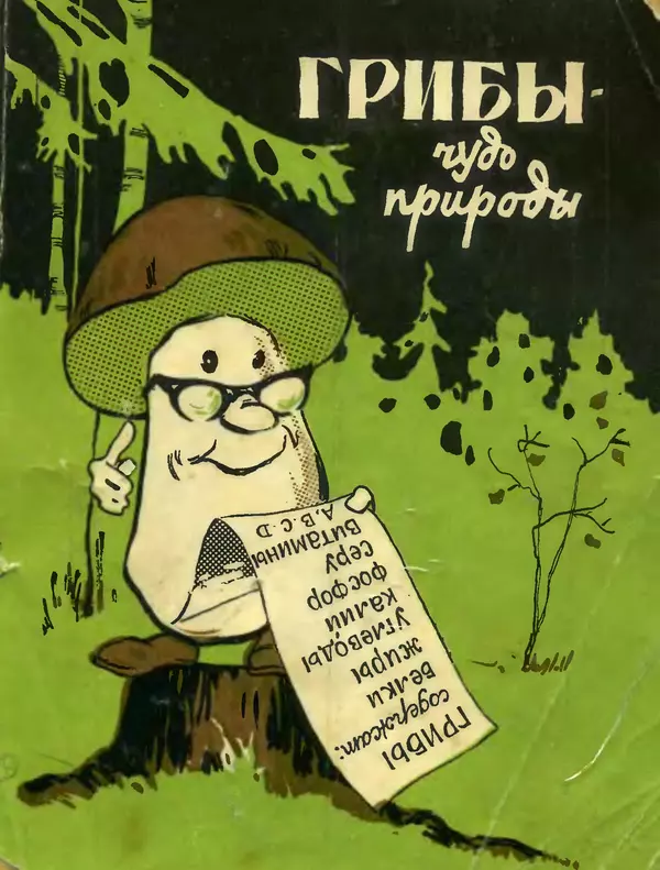 Василий Федяев - Грибы — чудо природы. — 3-е изд., доп. - Страница № 1
