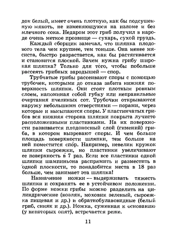 Василий Федяев - Грибы — чудо природы. — 3-е изд., доп. - Страница № 12
