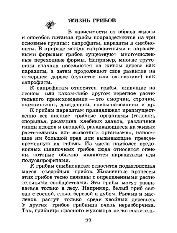 Василий Федяев - Грибы — чудо природы. — 3-е изд., доп. - Страница № 23