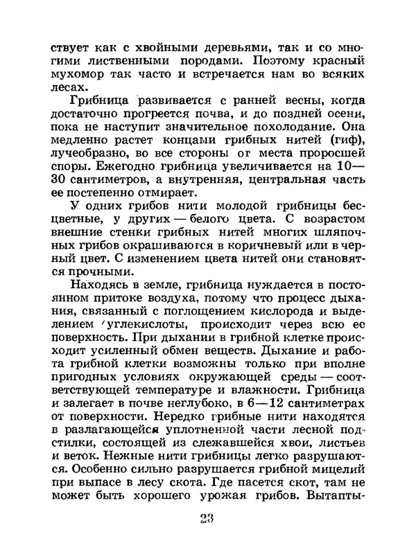 Василий Федяев - Грибы — чудо природы. — 3-е изд., доп. - Страница № 24