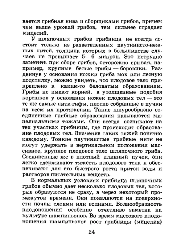 Василий Федяев - Грибы — чудо природы. — 3-е изд., доп. - Страница № 25