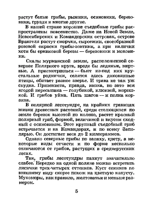 Василий Федяев - Грибы — чудо природы. — 3-е изд., доп. - Страница № 6