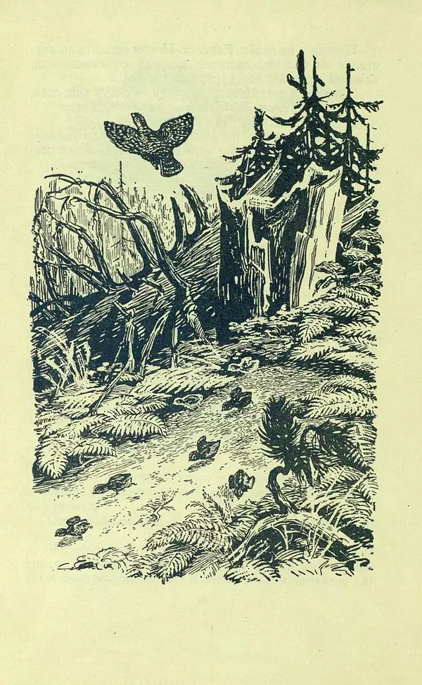 Николай Сладков - Про птиц. Сборник рассказов - Страница № 13